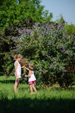 deux petites filles qui tiennent un bouquet de fleurs des champs devant un lilas