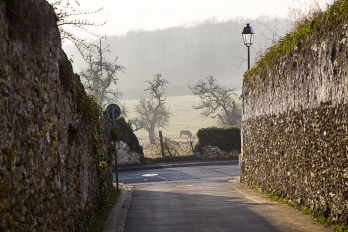 Rue entourée de murs en pierre qui débouche sur un champ