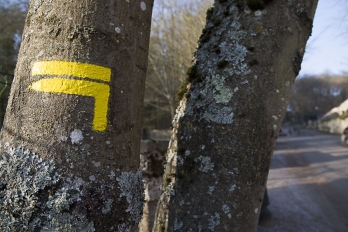 Signe chemin de randonnée à Boisemont