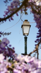 Courdimanche - Détail lampadaire et fleurs