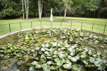 Bassin avec nénuphars dans le Parc Raclet à Jouy-le-Moutier