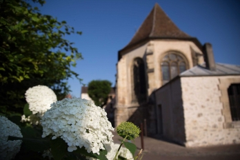 Chevet de l'église de Maurecourt avec une fleur blanche d'hortensia au premier plan