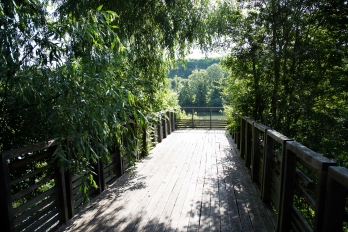 Ponton en bois qui s'avance vers l'Oise, entouré d'arbres et de verdure