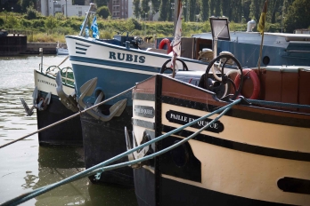 Proues de 3 péniches amarrées à Maurecourt : Paille en queue, Rubis et Damedecoeur