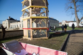 Cocott'arium de Neuville-sur-Oise, poulailler urbain écolo collaboratif