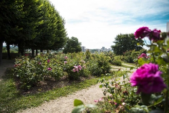 Allée du parc du Château à Pontoise