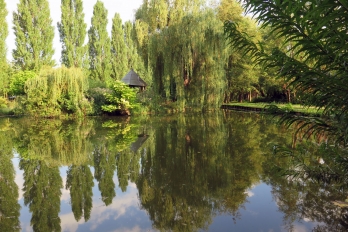 Étang du parc de l'abbaye Maubuisson à Saint-Ouen l'Aumône