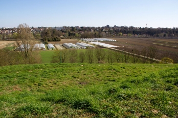 Bois de Cergy et zone maraîchère © CACP Agnès Loisel