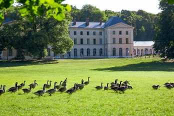 Parc du Château de Grouchy - © CACP Laurent Defrocourt