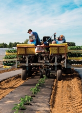 Projet alimentaire territorial Cergy-Pontoise Vexin français © CACP